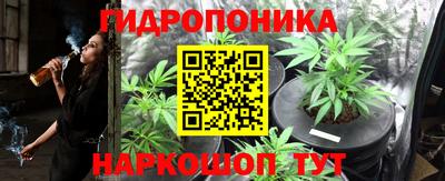 стафф Чебоксары