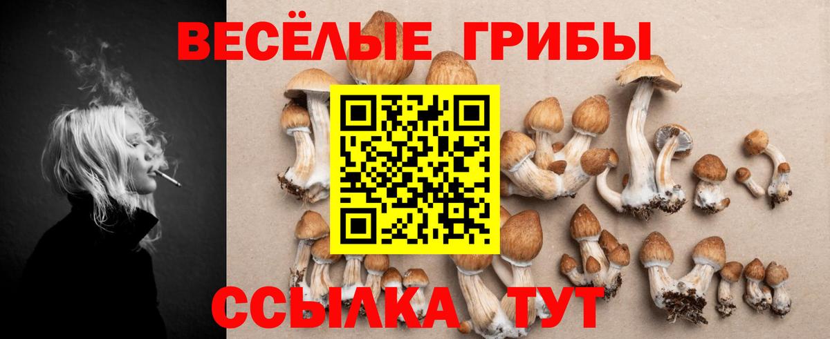 Киселёвск  Галлюциногенные грибы MAGIC MUSHROOMS  Вход с VPN 